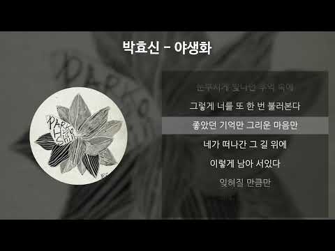 박효신 - 야생화 [가사/Lyrics]