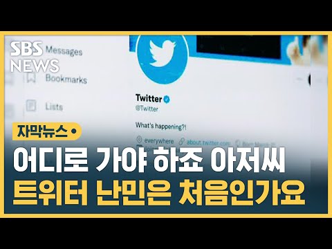 트위터 난민들 어디로? '대안 SNS' 급부상 (자막뉴스) / SBS