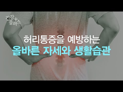 허리통증을 예방하는 바른자세 [건강플러스]